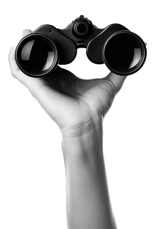 Binoculars vision